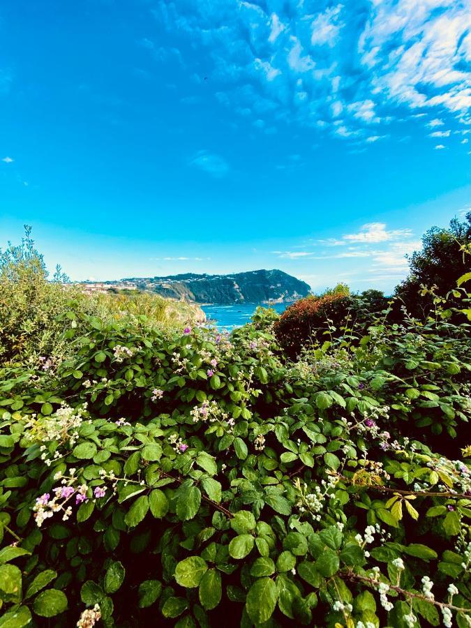 La Fortezza Forio di Ischia Extérieur photo